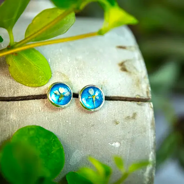 Blau-weiße Ohrstecker mit echten Blüten im klaren Epoxidharz – handgefertigter Schmuck aus Edelstahl, perfektes Weihnachtsgeschenk für Frauen.